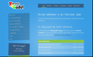 Screenshot der Webseite von Fahrschule GÃ¼del