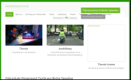 Screenshot der Webseite von Fahrschule PEPPERMINT TURTLE