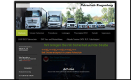 Screenshot der Webseite von Fahrschule Ruegenberg