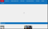 Screenshot der Webseite von Fahrschule Sun Devil