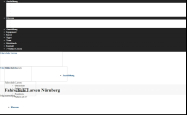 Screenshot der Webseite von Larsen Fahrschule